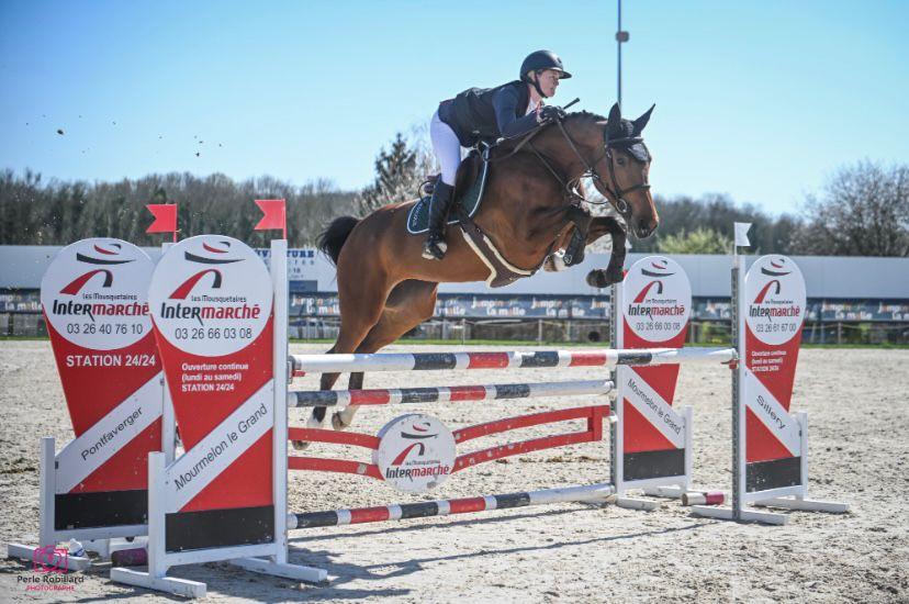 Cheval à vendre KINSHASA D'ISLA